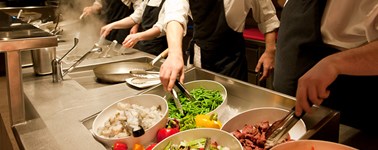 Wild Live Cooking Wild Live Cooking