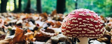 Wundervoller Herbst Wundervoller Herbst