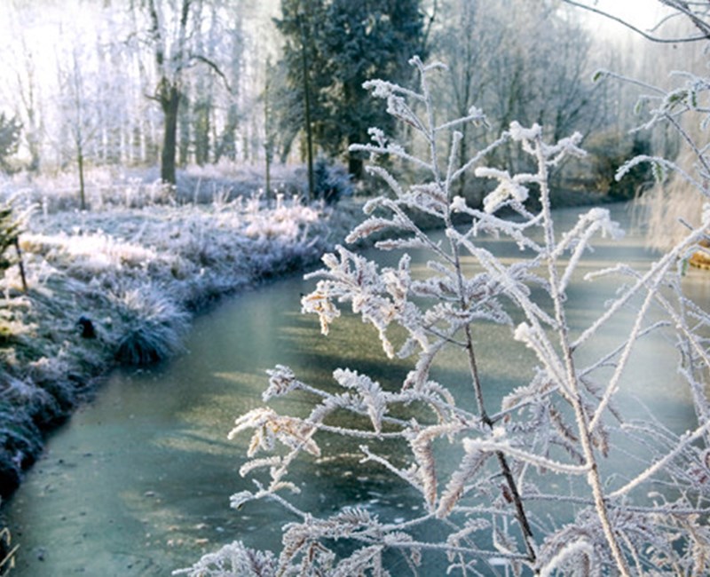 Winter in Harderwijk Winter in Harderwijk