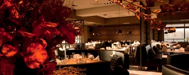 Hotel Hengelo - Live Cooking Arrangement Hotel Hengelo - Live Cooking Arrangement