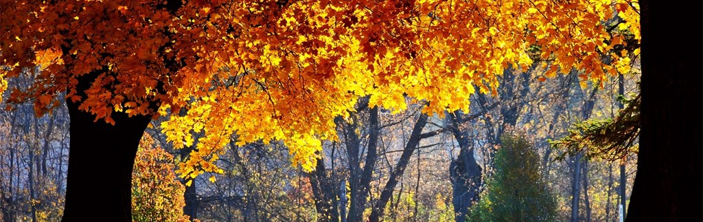Heerlijke herfst