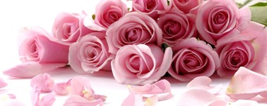 Hotel Almere - Valentine's Package Hotel Almere - Valentine's Package