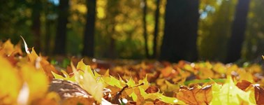 Hotel Almere - Autumn deal Hotel Almere - Autumn deal