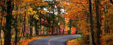 Awesome Autumn package Awesome Autumn package
