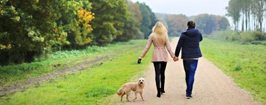 Awesome Autumn 4-day Package Awesome Autumn 4-day Package