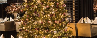 Hotel Middelburg - 4-day christmas package Hotel Middelburg - 4-day christmas package