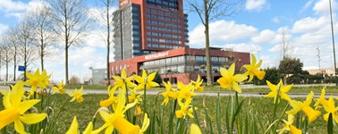 VrolijkVoorjaar VrolijkVoorjaar