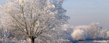 Hotel Rotterdam-Blijdorp - Winter deal (2 days) Hotel Rotterdam-Blijdorp - Winter deal (2 days)