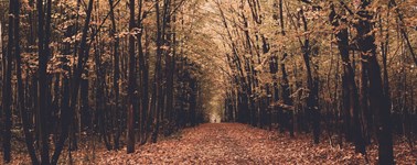 Heerlijke herfst Heerlijke herfst