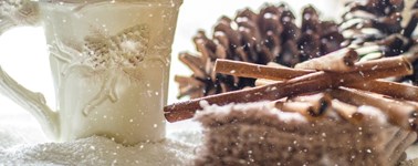 Hotel Rotterdam - Blijdorp - Winter Break Arrangement Hotel Rotterdam - Blijdorp - Winter Break Arrangement