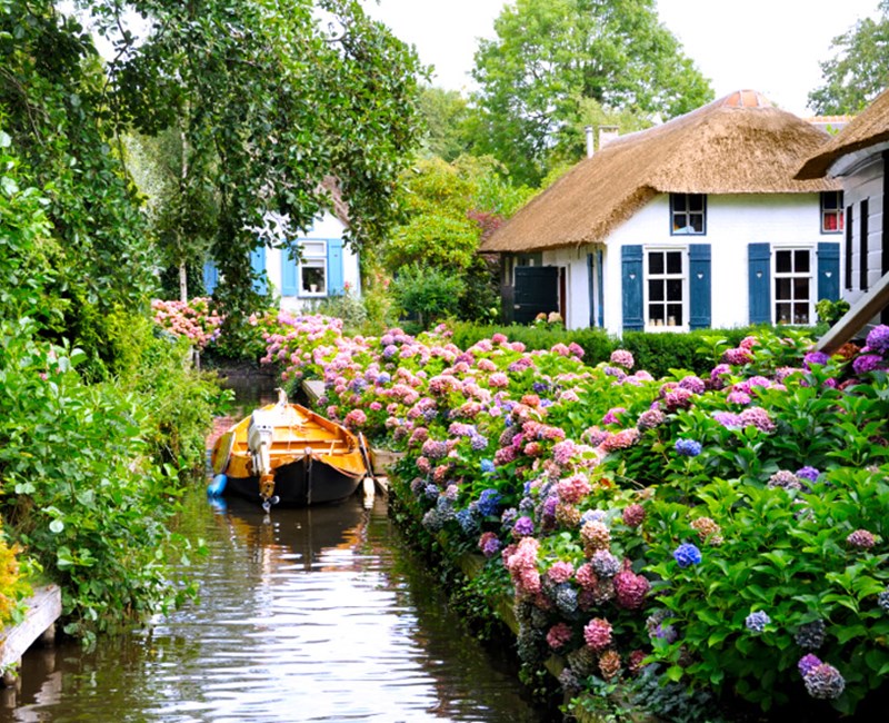 Arrangement TipGiethoorn Arrangement Arrangement TipGiethoorn Arrangement