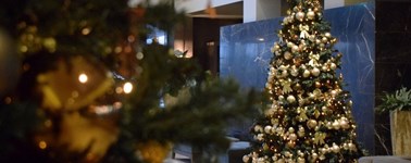 Hotel Zwolle - X-Mas arrangement 3-daags Hotel Zwolle - X-Mas arrangement 3-daags