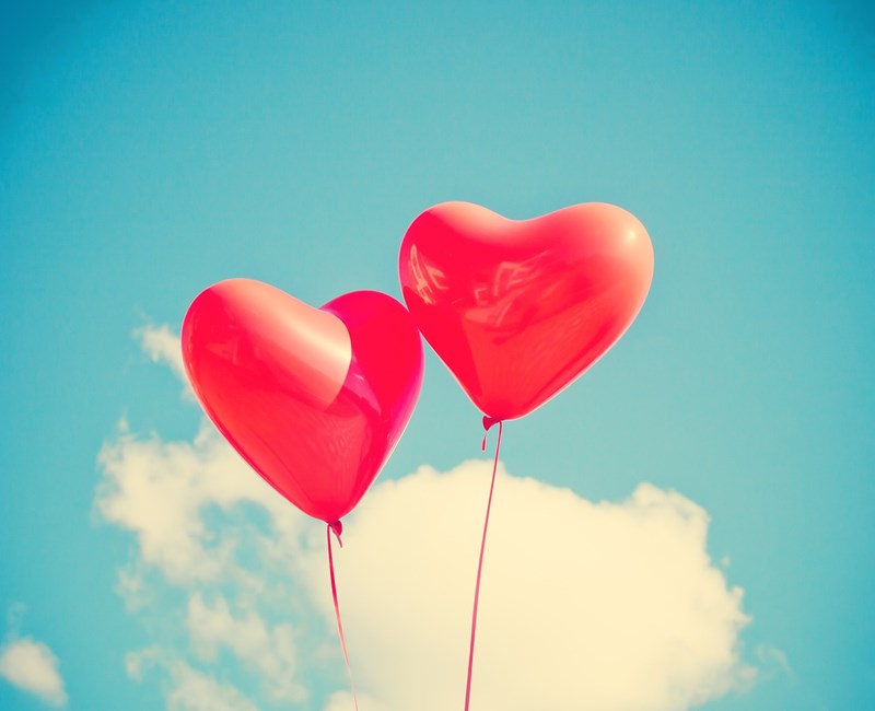 Valentijnsdag! Valentijnsdag!