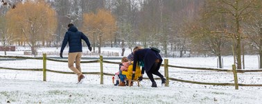 Winterdeal Winterdeal