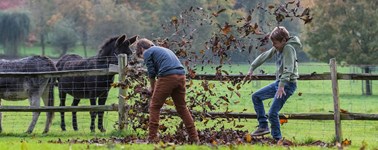 Herfstdeal Herfstdeal