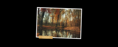Heerlijke Herfst Heerlijke Herfst