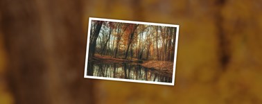 Heerlijke Herfst Heerlijke Herfst