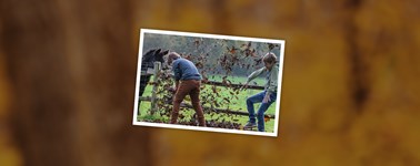 Herfstdeal Herfstdeal