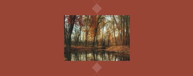Herrlicher Herbst Herrlicher Herbst