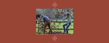 Herfstdeal Herfstdeal