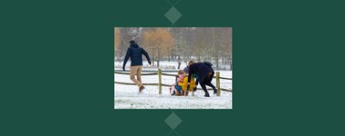 Winterdeal Winterdeal