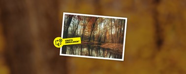 Herrlicher Herbst Herrlicher Herbst