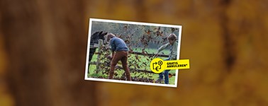 Herbst Deal Herbst Deal