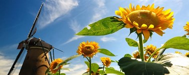 Zomerdeal Zomerdeal