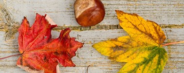 3=2 Herfst 3=2 Herfst