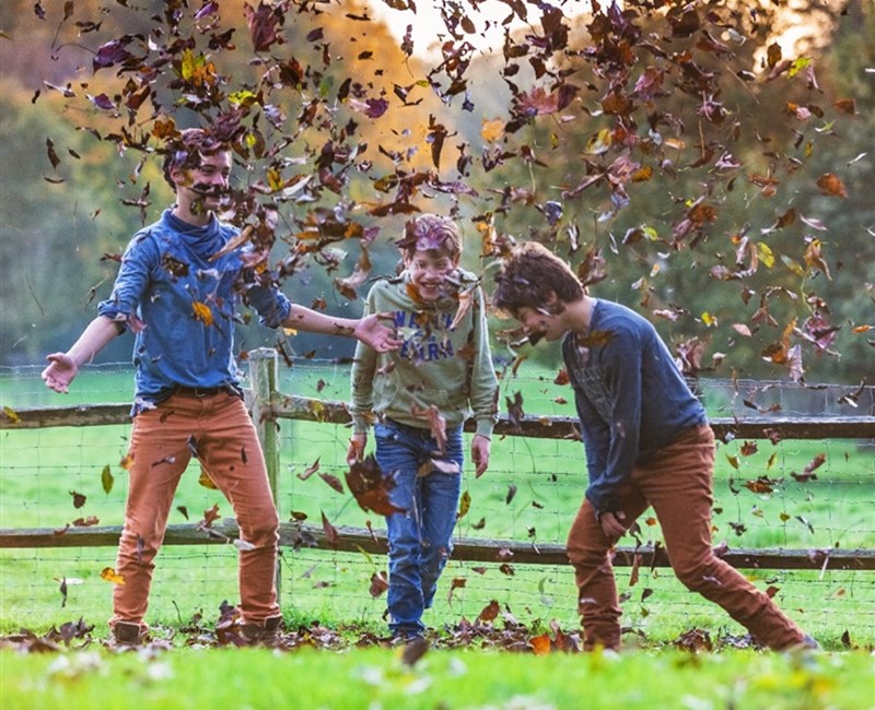 Heerlijke Herfst Heerlijke Herfst
