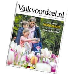 DE NIEUWE VOORJAARSKRANT DE NIEUWE VOORJAARSKRANT