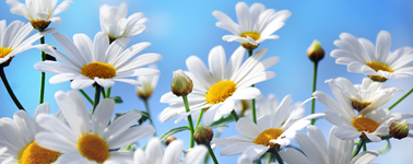 Hotel Utrecht - Summer Deal Hotel Utrecht - Summer Deal