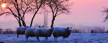 Hotel Apeldoorn - Winter deal Hotel Apeldoorn - Winter deal