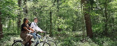 Hotel Apeldoorn - Sportliches Fahrrad Hotel Apeldoorn - Sportliches Fahrrad