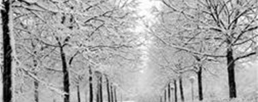 Hotel Tilburg - Hartje Winter 3-daags Hotel Tilburg - Hartje Winter 3-daags