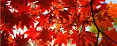 Hotel Tilburg - Herfstdeal 2-daags Hotel Tilburg - Herfstdeal 2-daags