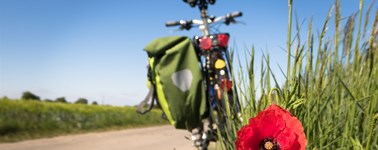 Hotel Oostzaan-Amsterdam - Fahrradpaket 3 Tage Hotel Oostzaan-Amsterdam - Fahrradpaket 3 Tage