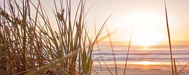Hotel Oostzaan-Amsterdam - High Summer Package 3 days Hotel Oostzaan-Amsterdam - High Summer Package 3 days