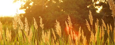 Hotel Oostzaan-Amsterdam - High Summer Package 4 days Hotel Oostzaan-Amsterdam - High Summer Package 4 days
