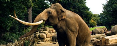 Wildlands Adventure Zoo Wildlands Adventure Zoo