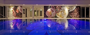 Hotel Spier-Dwingeloo - Februari last minute deal Hotel Spier-Dwingeloo - Februari last minute deal