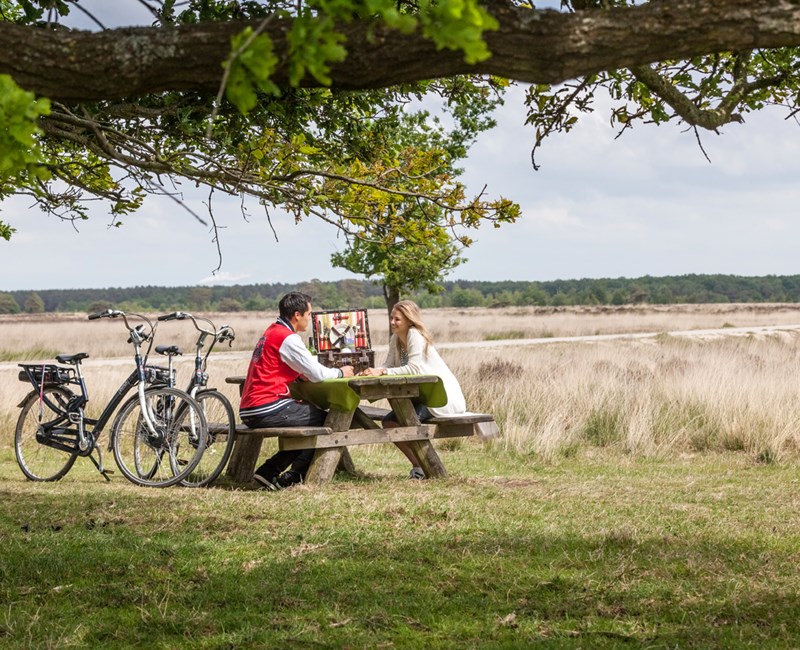 3 Gorgeouscycling routes through Drenthe 3 Gorgeouscycling routes through Drenthe