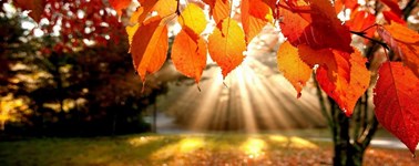 Hotel Spier-Dwingeloo - Lovely autumn arrangement 3 nights Hotel Spier-Dwingeloo - Lovely autumn arrangement 3 nights