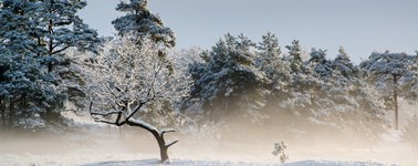 Hotel Spier-Dwingeloo - Winter last minute Hotel Spier-Dwingeloo - Winter last minute