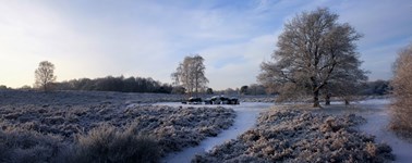Hotel Spier-Dwingeloo - Hartje Winter 4-daags Hotel Spier-Dwingeloo - Hartje Winter 4-daags