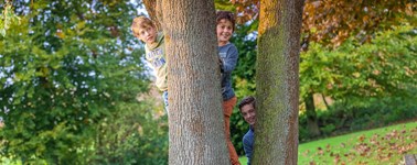 Hotel Spier-Dwingeloo - Herfst actie! Hotel Spier-Dwingeloo - Herfst actie!