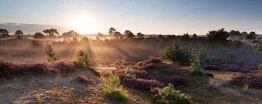 Hotel Spier-Dwingeloo - Hoog Zomer 4-daags Hotel Spier-Dwingeloo - Hoog Zomer 4-daags