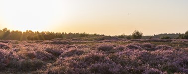 Hotel Spier-Dwingeloo - Zomerdeal Hotel Spier-Dwingeloo - Zomerdeal