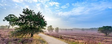 Hotel Spier-Dwingeloo - Zomerdeal Hotel Spier-Dwingeloo - Zomerdeal