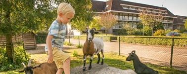 Hotel Assen - Frohes Frühjahr Hotel Assen - Frohes Frühjahr